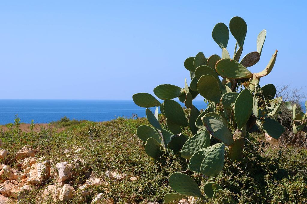 Villa Salento Tra Mare E Cielo Nardò Zimmer foto